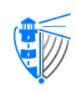 BlueCove logo