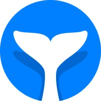 Intempt logo