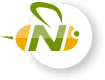 Launch Pad by Next Bee logo