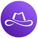 Lasso Security logo