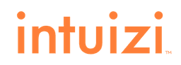 intuizi logo
