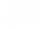 Bear Cognition logo