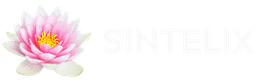 Sintelix logo