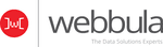 insightData logo
