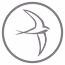 Greyswift logo