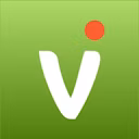 Vidigami logo