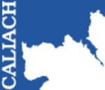 Caliach Vision logo
