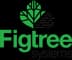 Figtree Fleet logo