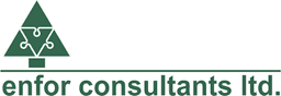 Enfor Appraisals logo