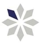 Webchise logo