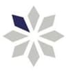 Webchise logo