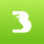 Bravon logo