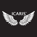 ICARIS logo