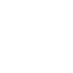 Asset Chain logo