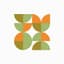 CFT Africa logo