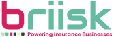 Briisk Digital Insurance Platform logo