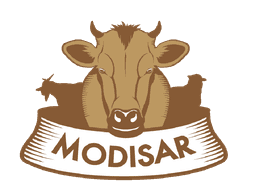 Modisar logo
