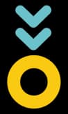 Pineapple logo