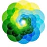 SkinVision logo