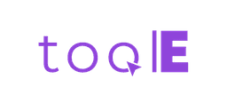 ToolE Temu Easy Sync logo