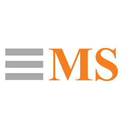 Megasoft eHRMS logo