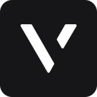 Vise logo
