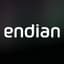 Endian Secure Digital Platform logo