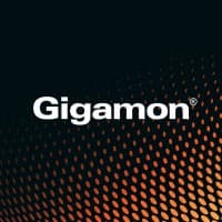 Gigamon Visibility and Analytics Fabric logo