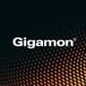 Gigamon Visibility and Analytics Fabric logo