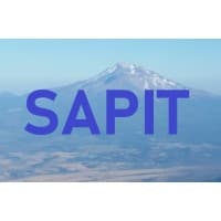 SAPIT Digital Transformation & ERP Solutions logo