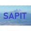 SAPIT Digital Transformation & ERP Solutions logo