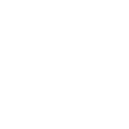 LS360™ logo