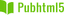 PubHTML5 logo