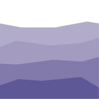 Steelray Software logo
