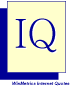 IQ by WinMetrics logo