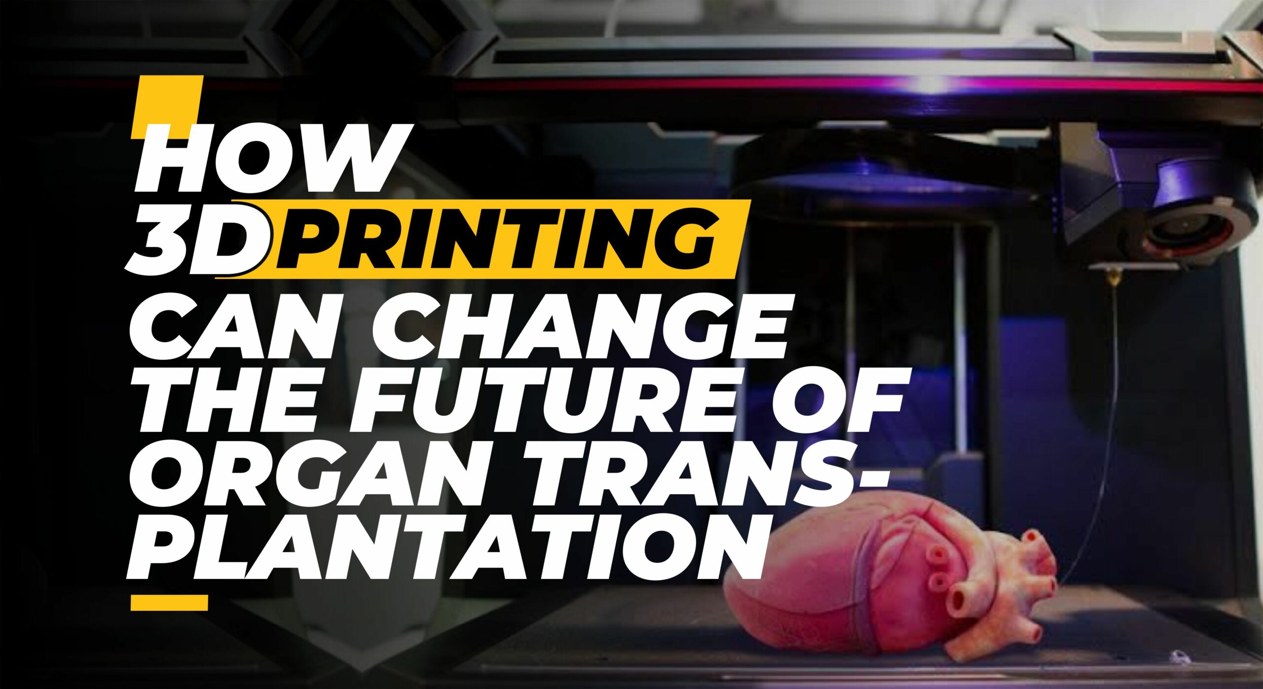 How 3D Printing Could Change the Future of Organ Transplantation