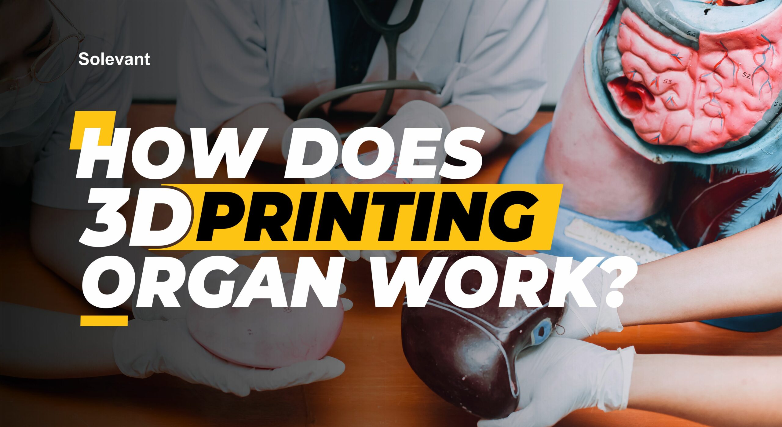 How does 3d printing organ work