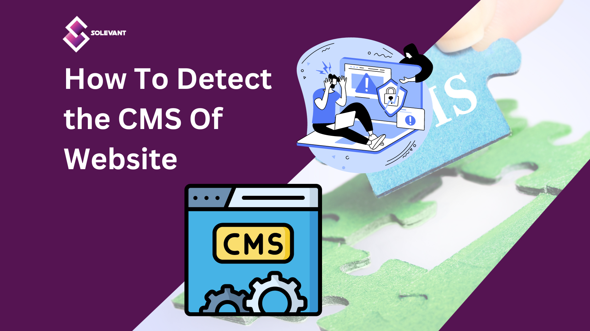 How to Detect the CMS of a Website: 8 Effective Ways