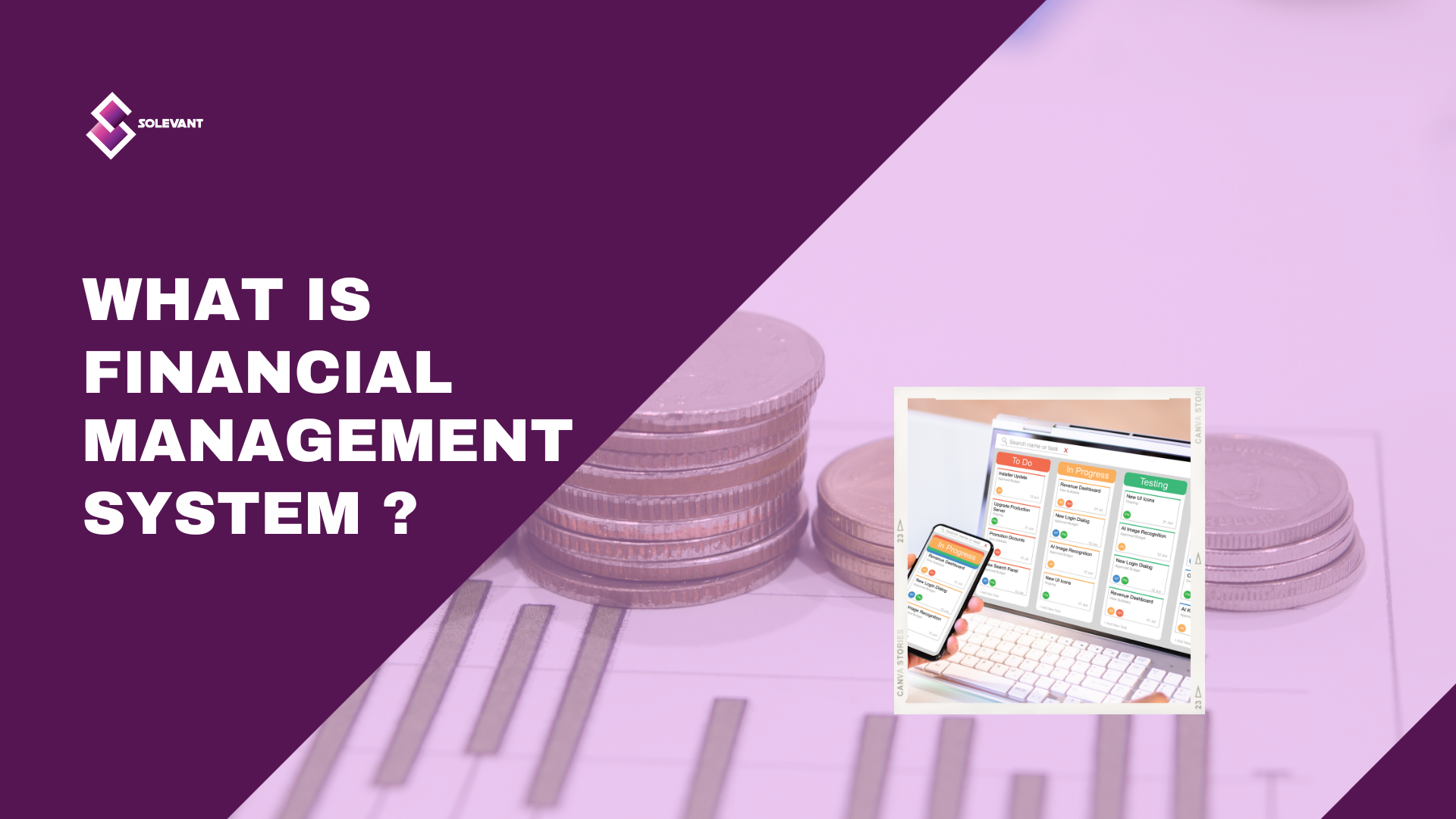 What Is a Financial Management System (Fms)?